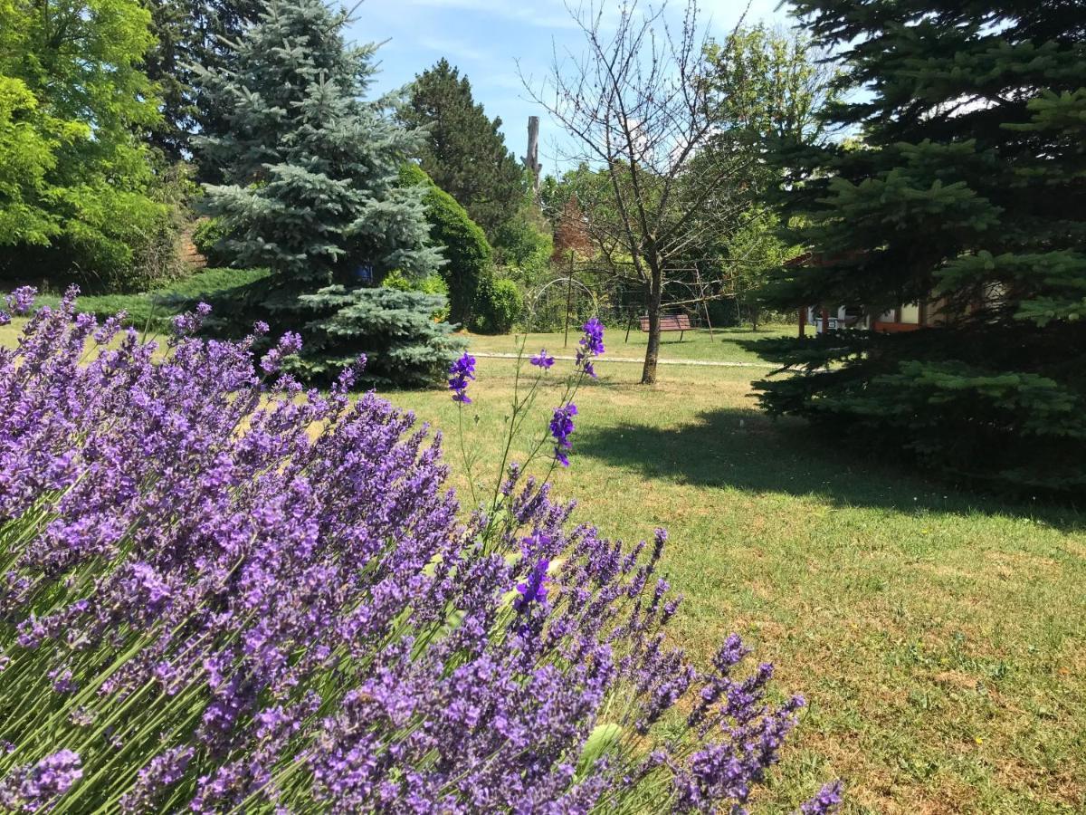 Апартаменты Balaton Garden Балатондьёрёк Экстерьер фото
